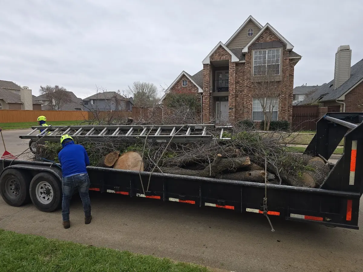 Expert Lot Clearing with proper safety equipment in Watson